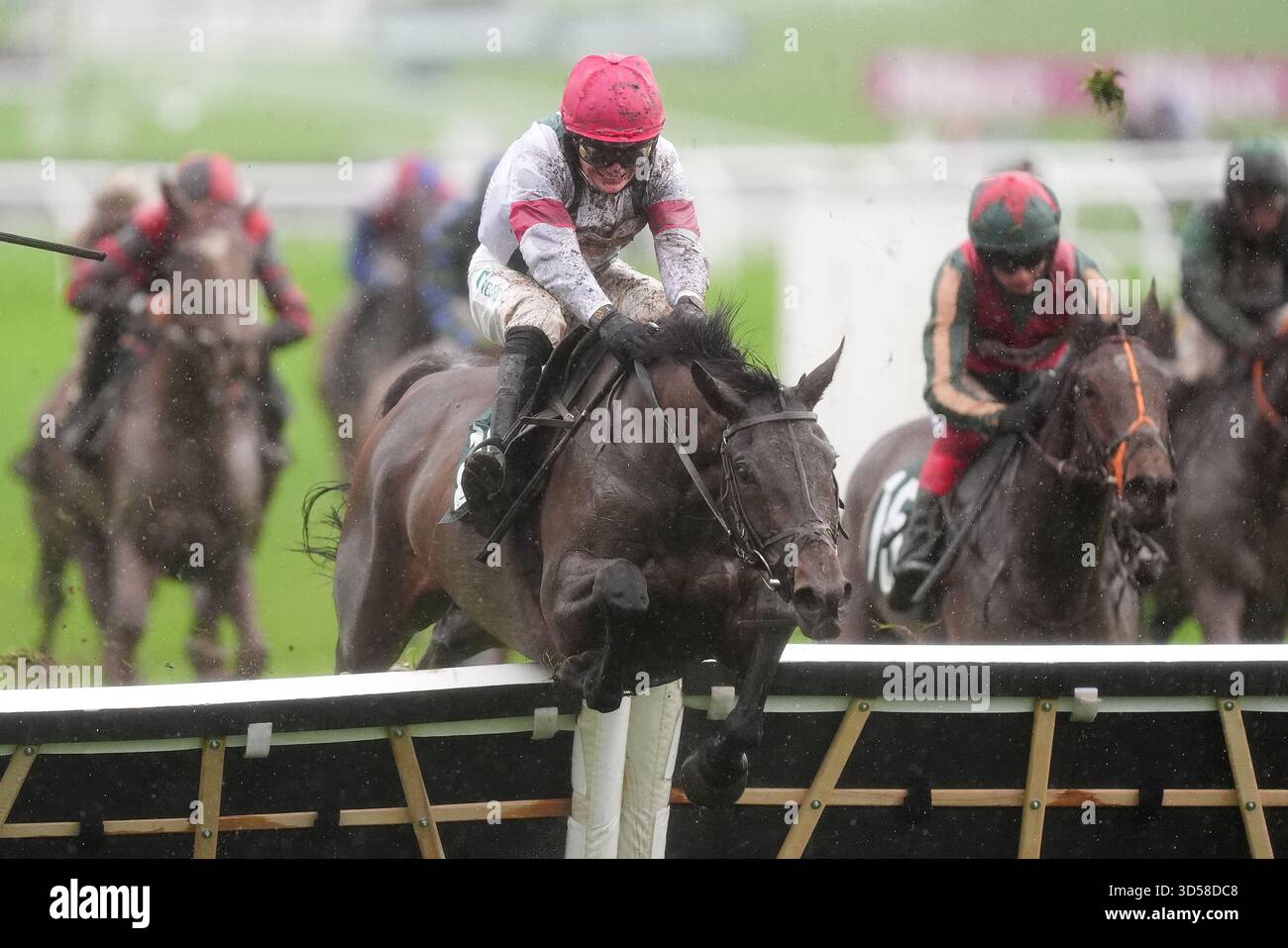 Un Pai de nom monté par Tristan Durrell remporte le Lycetts Insurance Brokers Conditional Jockeys' handicap Hurdle lors de la campagne Day à l'hippodrome de Cheltenham. Date de la photo : vendredi 14 novembre 2025. Banque D'Images