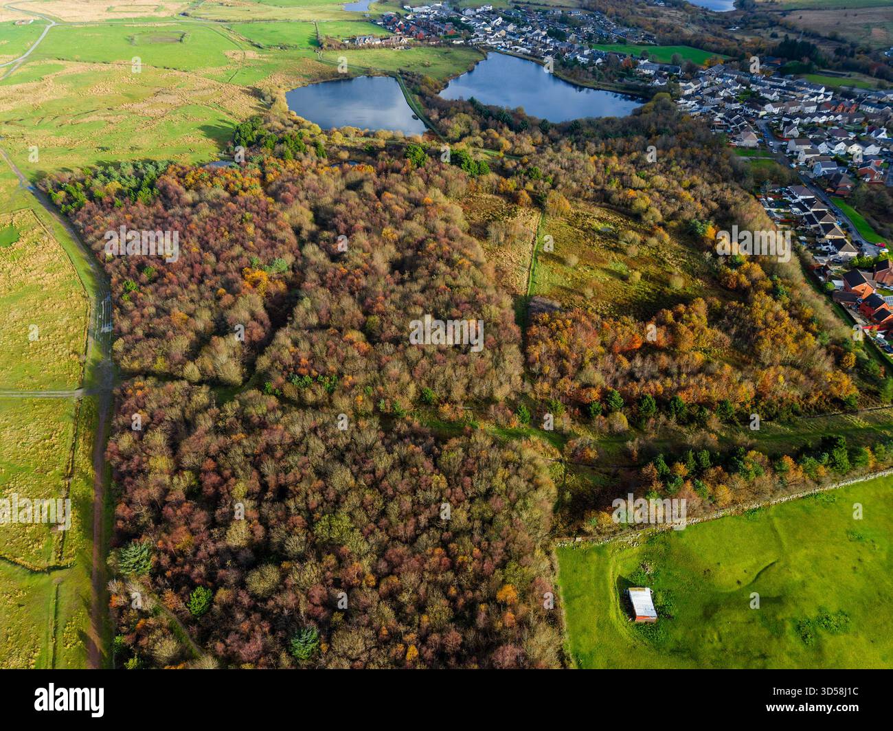 Vue aérienne par drone de la ville d'Ebbw Vale, au pays de Galles avec des bois d'automne colorés Banque D'Images