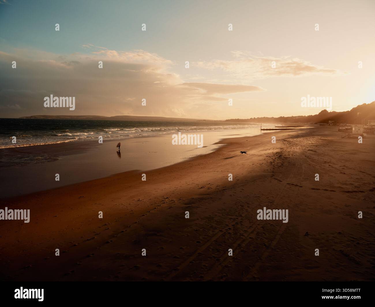 Plage de Bournemouth et un surfeur solitaire et chien de course dans la lumière d'été de la soirée Bournemouth Dorset Angleterre Royaume-Uni Banque D'Images