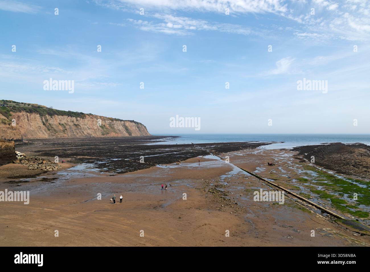 La plage de Robin Hoods Bay dans le Yorkshire du Nord, Angleterre. Vue à marée basse, la plage est une destination populaire pour les marcheurs. Banque D'Images