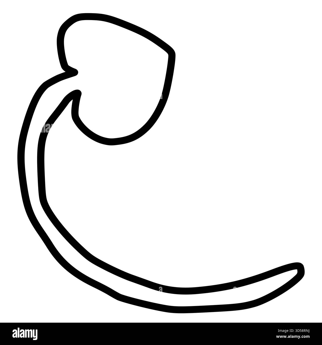 Élément vectoriel abstrait ressemblant à une graine germanante ou à une virgule stylisée, rendu avec des contours noirs gras sur un fond blanc. Illustration de Vecteur