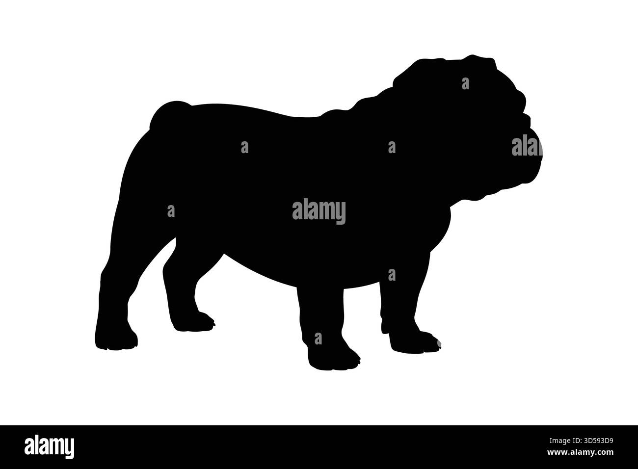 Une silhouette noire unie d'un bouledogue, mettant en valeur sa construction musculaire et son visage ridé distinctif. Illustration de Vecteur
