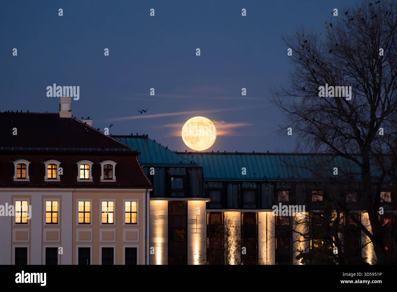 Pleine lune brillante au-dessus des toits des bâtiments à Dresde. Paysage après le lever de lune. Grande forme et couleur jaune du satellite naturel. Banque D'Images