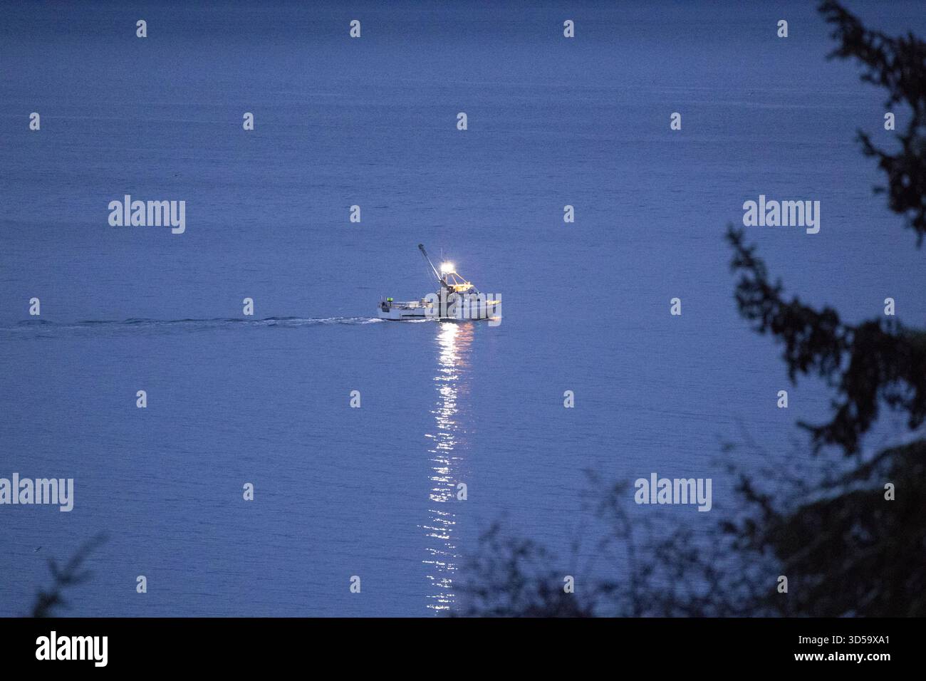 Pêche commerciale dans le sud-est de l'Alaska. Banque D'Images