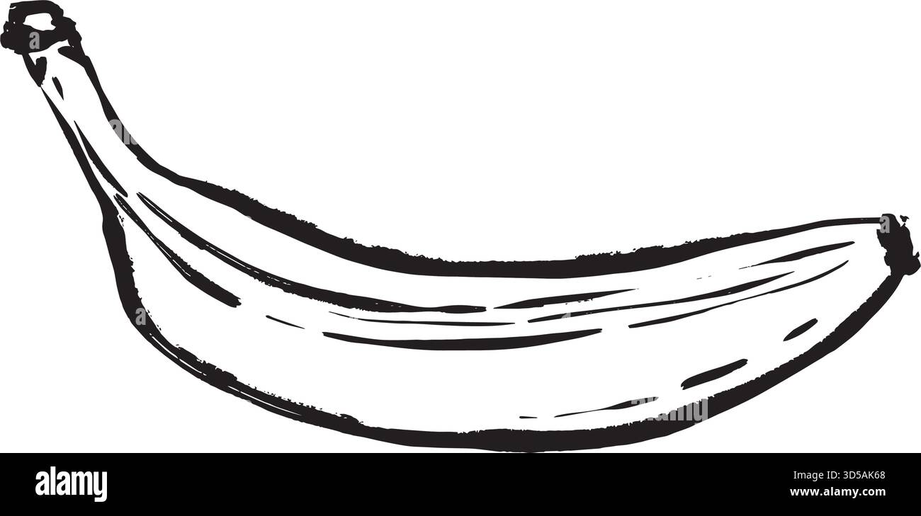 Banane mûre sur fond blanc, silhouette incurvée et linéarité esquissée capturant l'ambiance de snack tropical frais idéal pour la marque alimentaire, illustration vectorielle noire et blanche dessinée à la main dans un style d'art au trait. Illustration de Vecteur