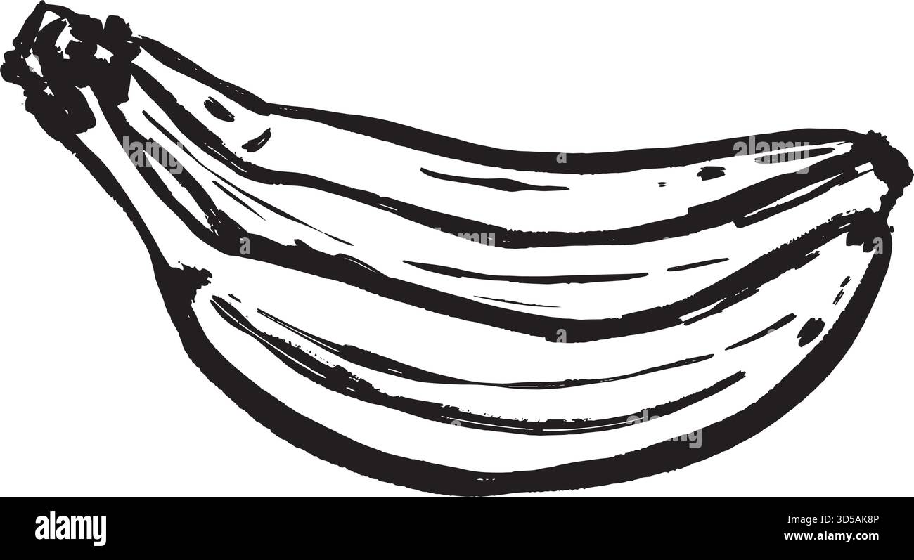 Bouquet de bananes sur fond blanc, cluster prêt pour le marché avec des lignes texturées et des détails de maturité, illustration de produit vibrant, illustration vectorielle noire et blanche dessinée à la main dans le style d'art au trait. Illustration de Vecteur