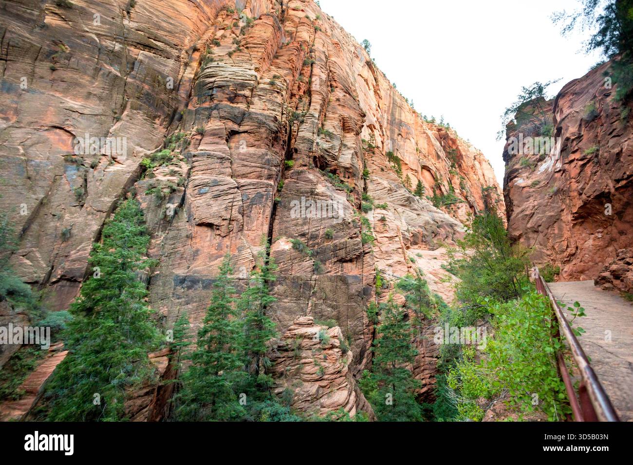 De hautes falaises le long du West Rim Trail jusqu'à Angels Landing dans le parc national de Zion, Utah Banque D'Images