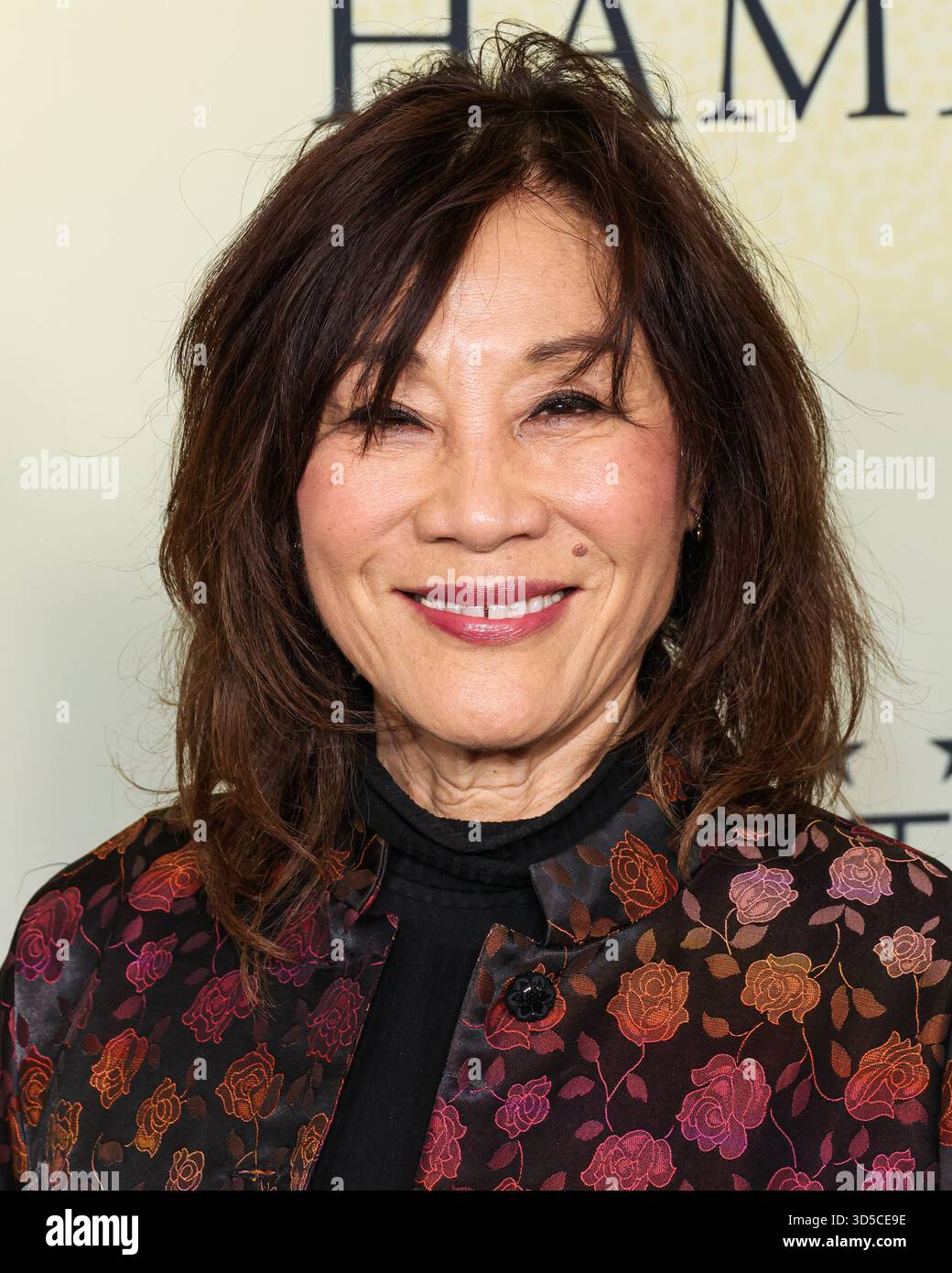 Beverly Hills, États-Unis. 15 novembre 2025. BEVERLY HILLS, LOS ANGELES, CALIFORNIE, États-Unis - 14 NOVEMBRE : la productrice américaine servant de présidente de l'Academy of Motion Picture Arts and Sciences Janet Yang arrive à la 4e célébration annuelle du cinéma et de la télévision AAPI (Asian American and Pacific Islander) organisée par la Critics Choice Association au four Seasons Hotel Los Angeles à Beverly Hills le 14 novembre 2025 à Beverly Hills, Los Angeles, Californie, États-Unis. (Photo de Xavier Collin/image Press Agency) crédit : image Press Agency/Alamy Live News Banque D'Images