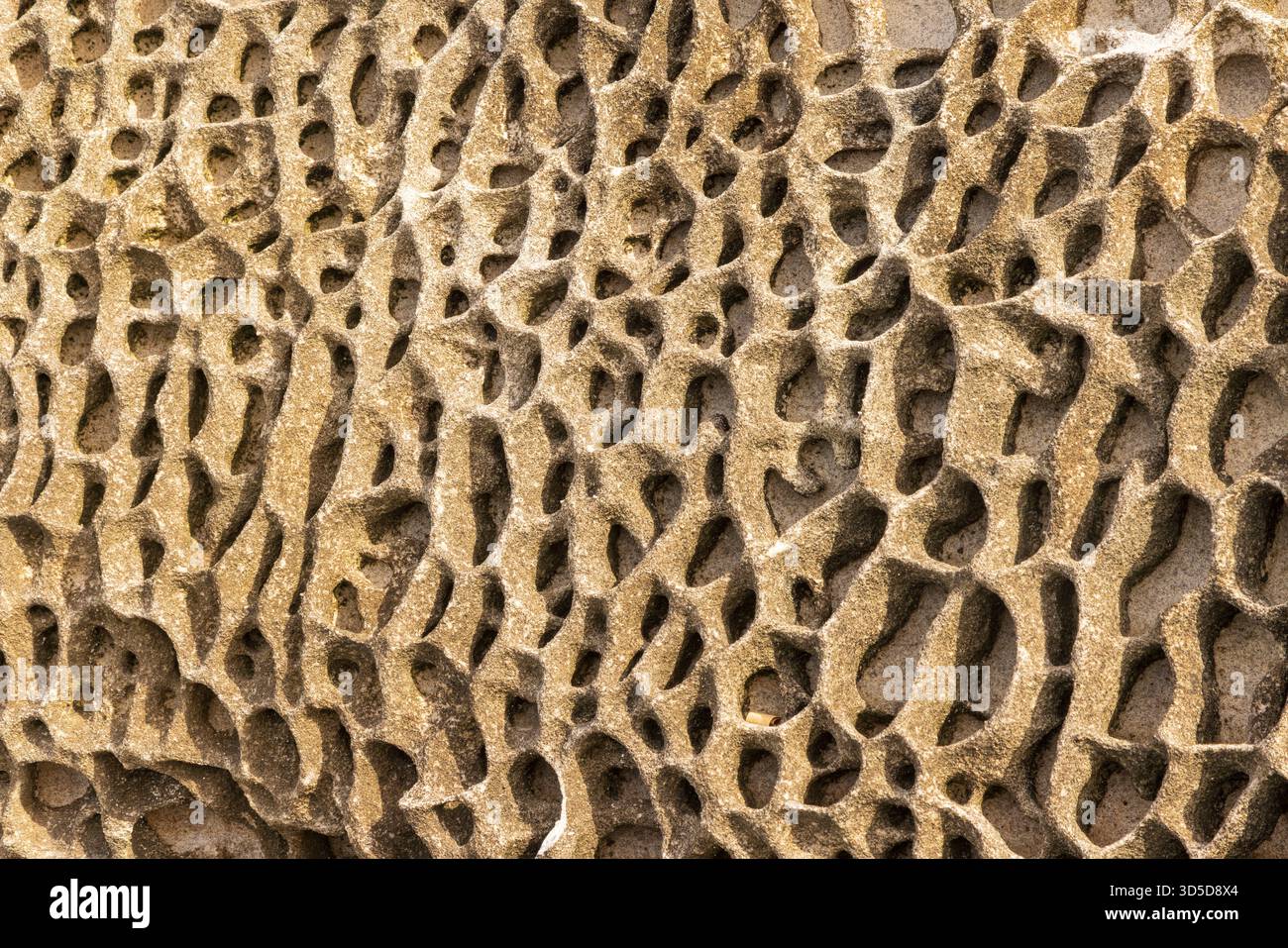 Un motif en nid d'abeille en grès de Hawkesbury altéré. Sydney, Australie Banque D'Images