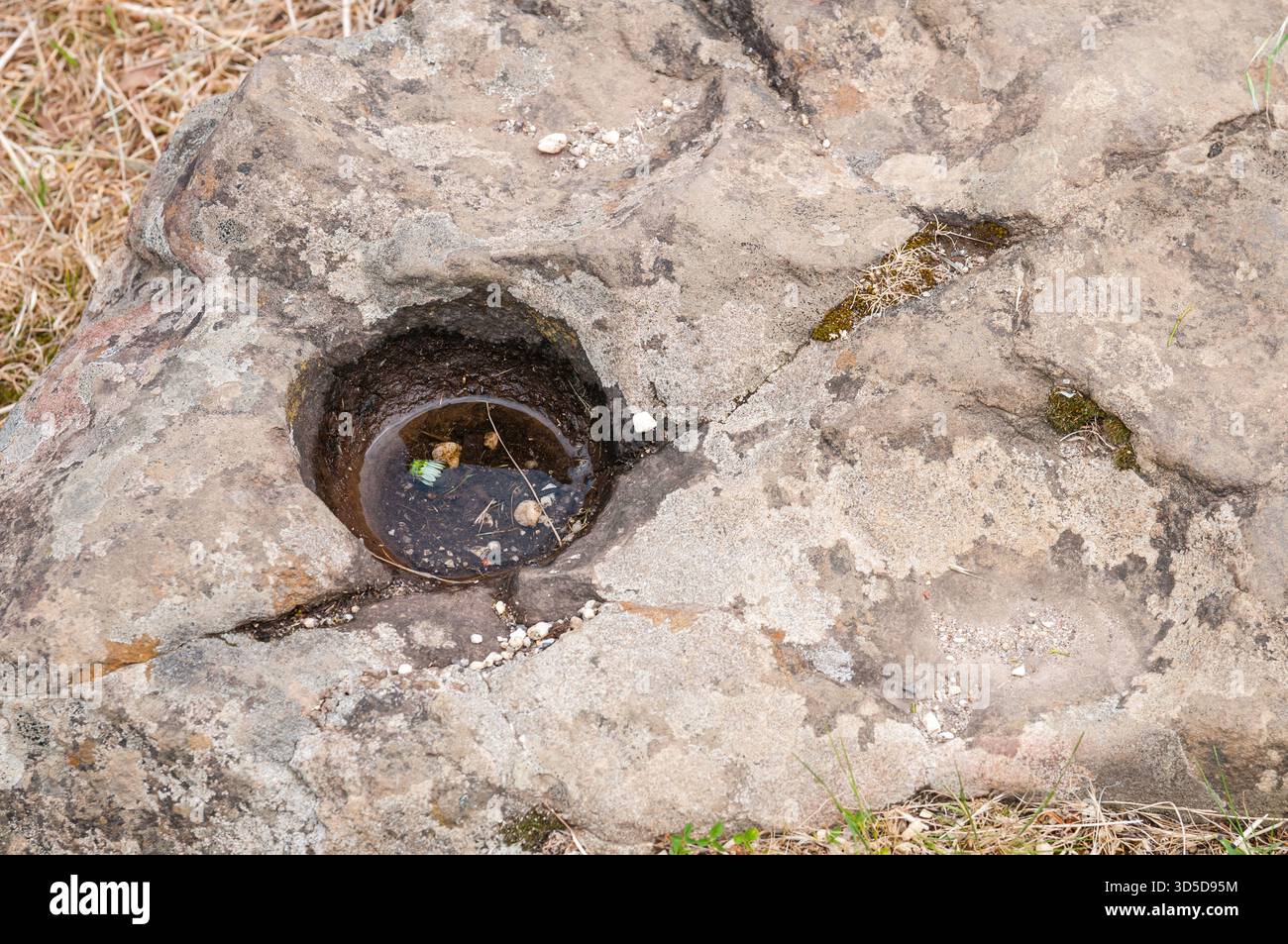 Grès, roche sédimentaire avec des trous d'altération et creusés dans la concrétion en forme de boule, Teddy's Lookout, Lorne, Victoria, Australie Banque D'Images