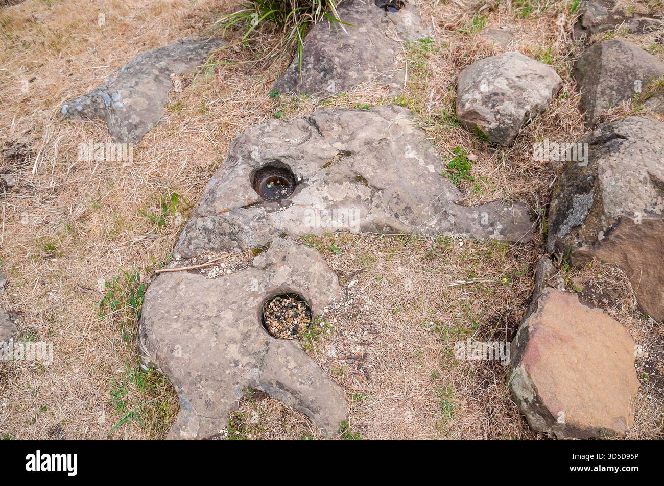 Grès, roche sédimentaire avec des trous d'altération et creusés dans la concrétion en forme de boule, Teddy's Lookout, Lorne, Victoria, Australie Banque D'Images