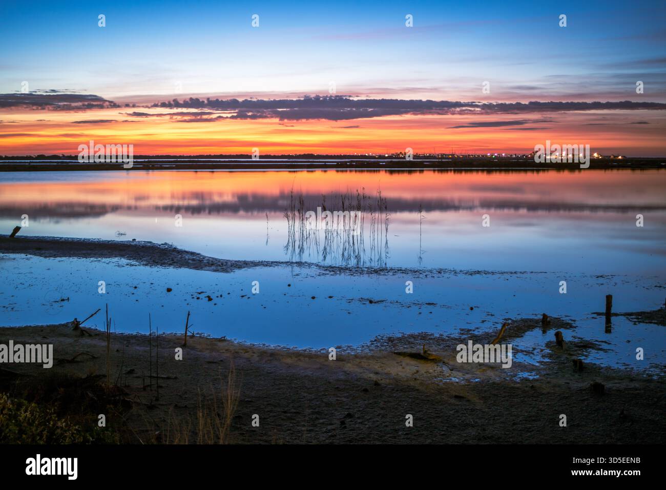 Lever de soleil sur les eaux de Las Salinas de San Pedro del Pinatar, région de Murcie, avec son reflet dans l'eau Banque D'Images