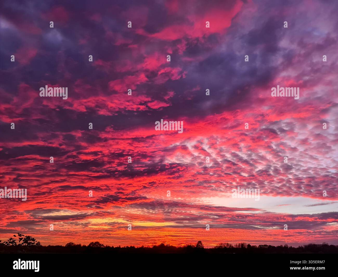Coucher de soleil illuminant le ciel avec des nuages spectaculaires rouges, roses et violets, créant une toile de fond naturelle saisissante sur une ligne d'horizon sombre, reflétant le beau Banque D'Images