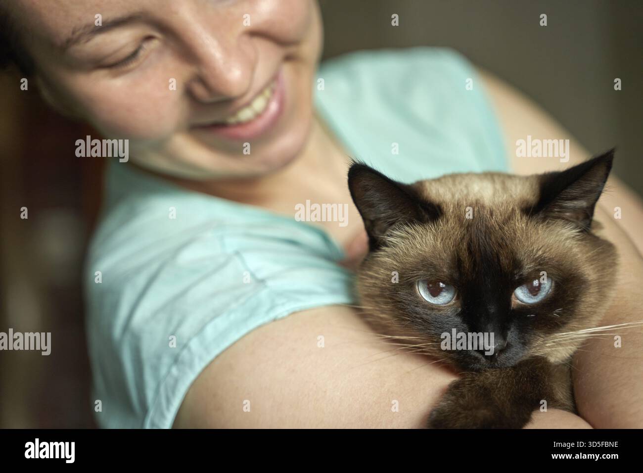 Femme caucasienne adulte souriant tout en tenant le chat siamois avec les yeux bleus Banque D'Images