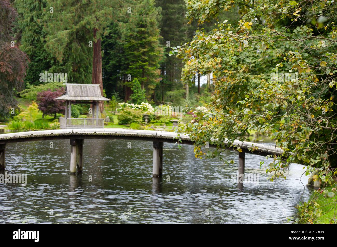 Pont au jardin japonais à Cowden, Écosse Banque D'Images
