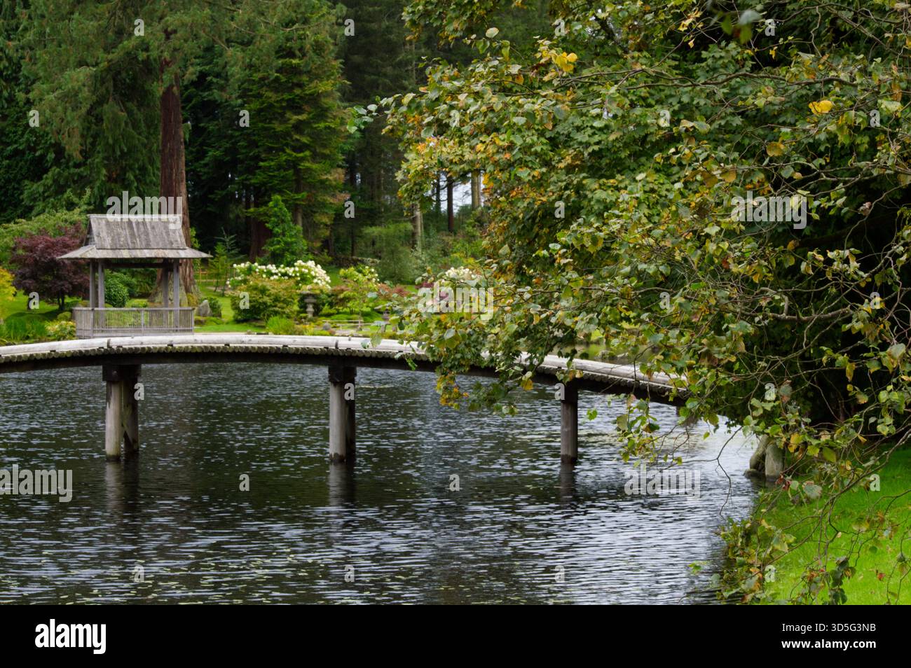 Pont au jardin japonais à Cowden, Écosse Banque D'Images