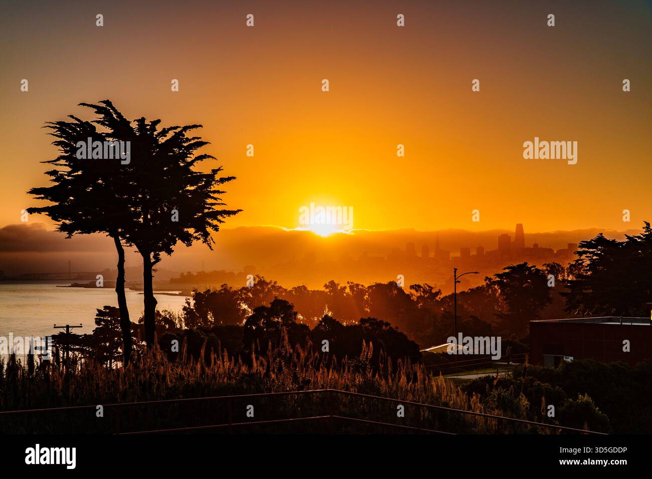Un coucher de soleil vibrant à San Francisco projette une lumière dorée chaude sur les gratte-ciel et la baie de la ville, dessinant les arbres du premier plan et le paysage urbain. Banque D'Images
