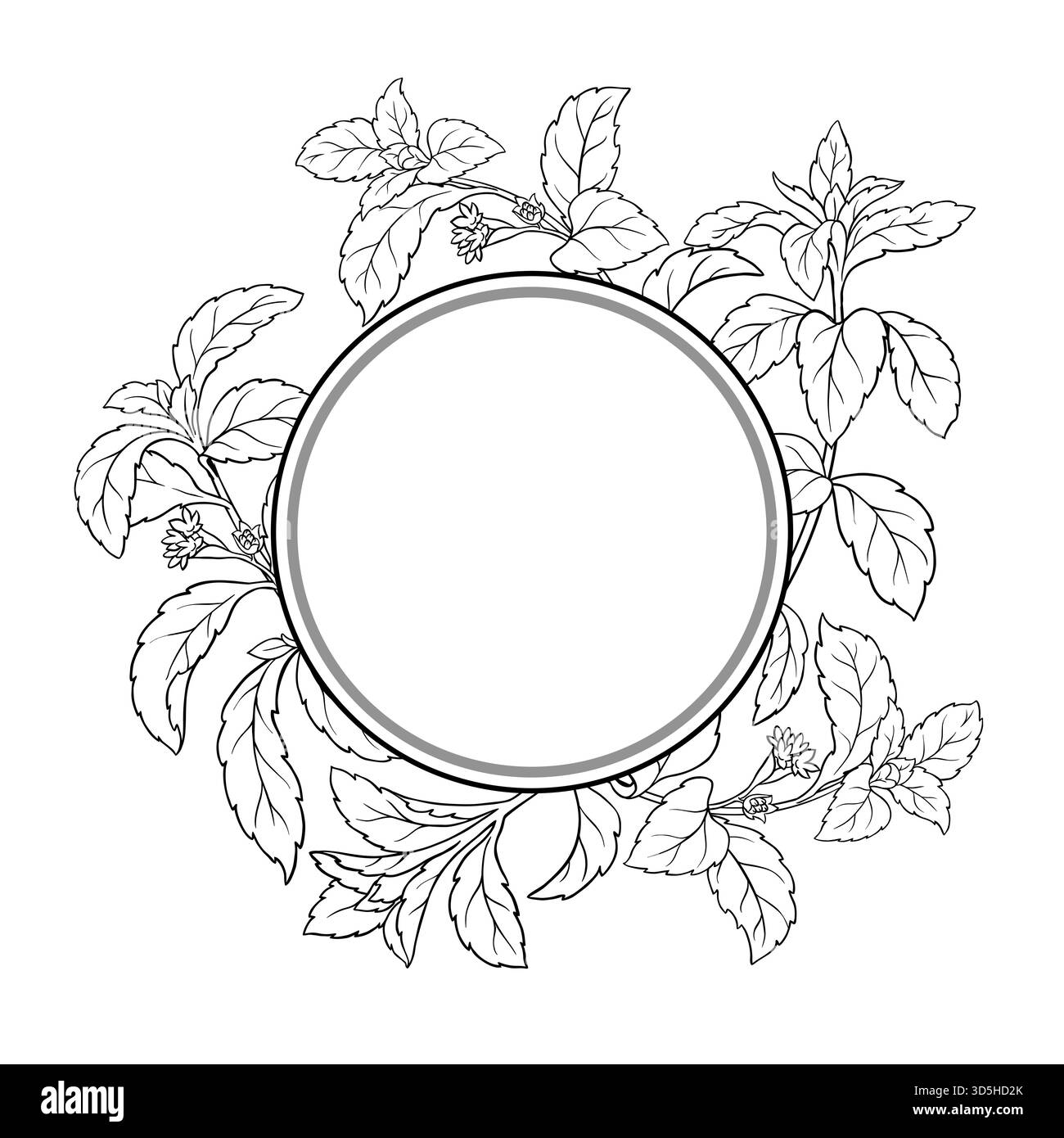 Cadre rond de contour de branche de Stevia. Illustration de Vecteur