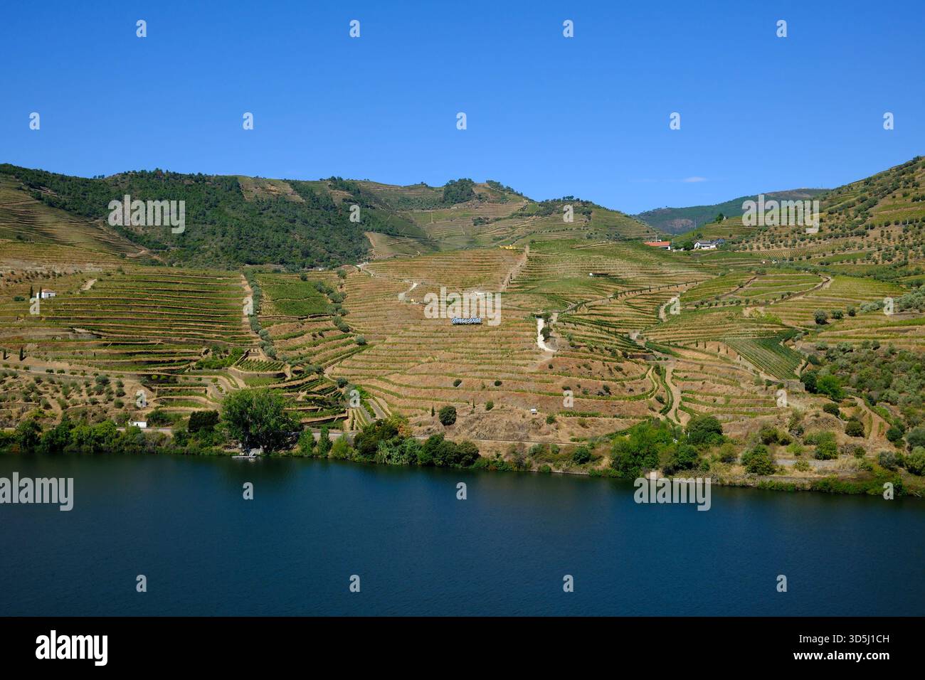 Vue sur les collines et les vignobles dans la vallée du Douro, Portugal Banque D'Images