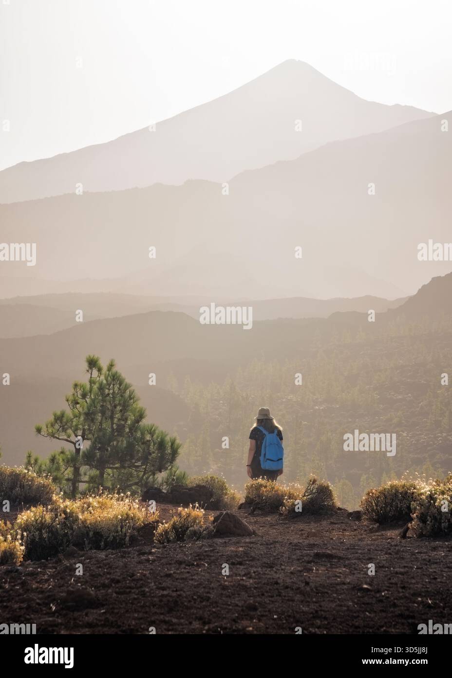 Une femme est émerveillée, contemplant le mont Teide, tout en explorant les paysages magnifiques de Tenerife. Banque D'Images