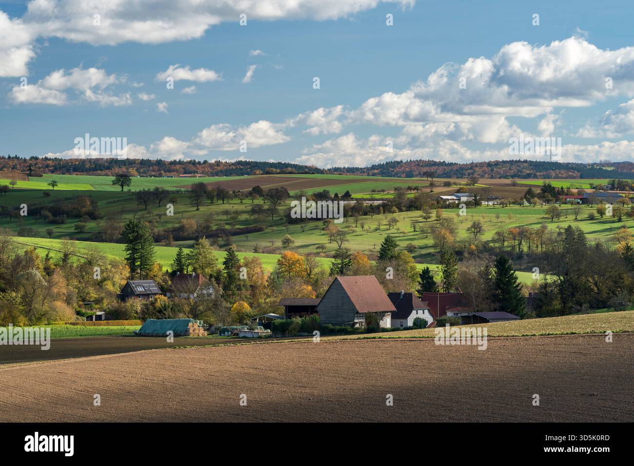 Ferme allemande en automne Banque D'Images