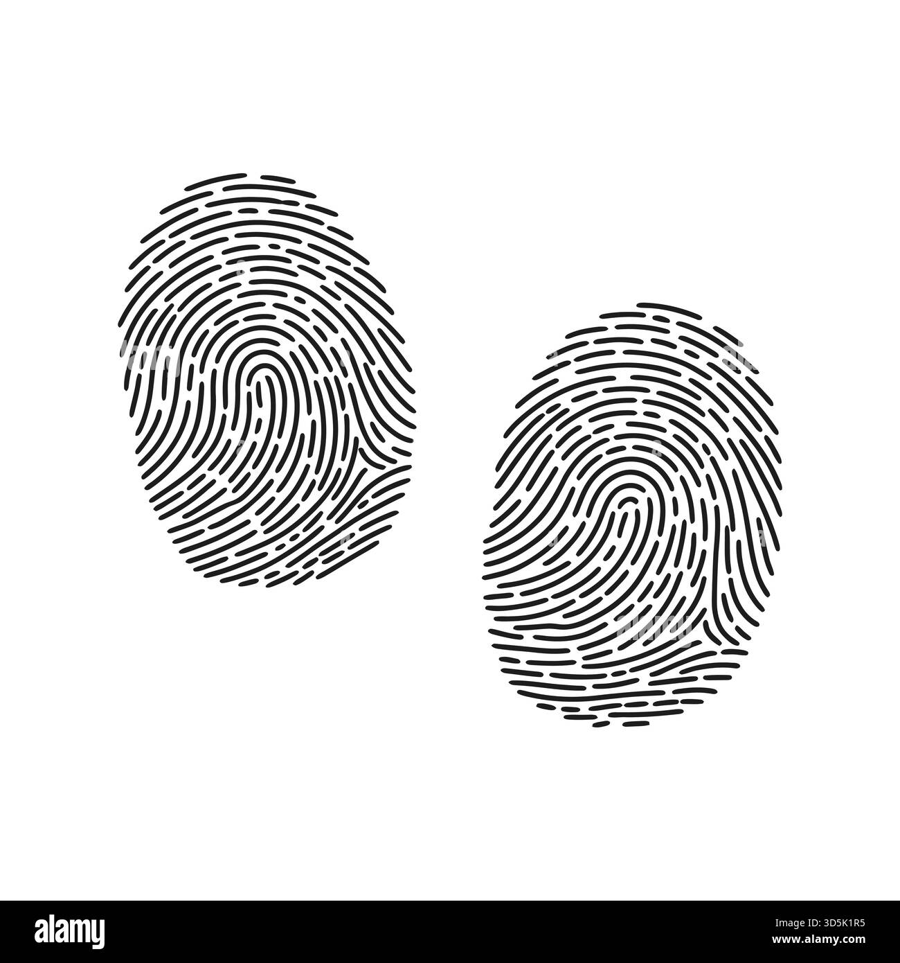 Deux motifs d'empreintes digitales distincts sont représentés à l'encre noire sur un fond blanc propre, mettant en valeur des crêtes et des tourbillons complexes. Illustration de Vecteur