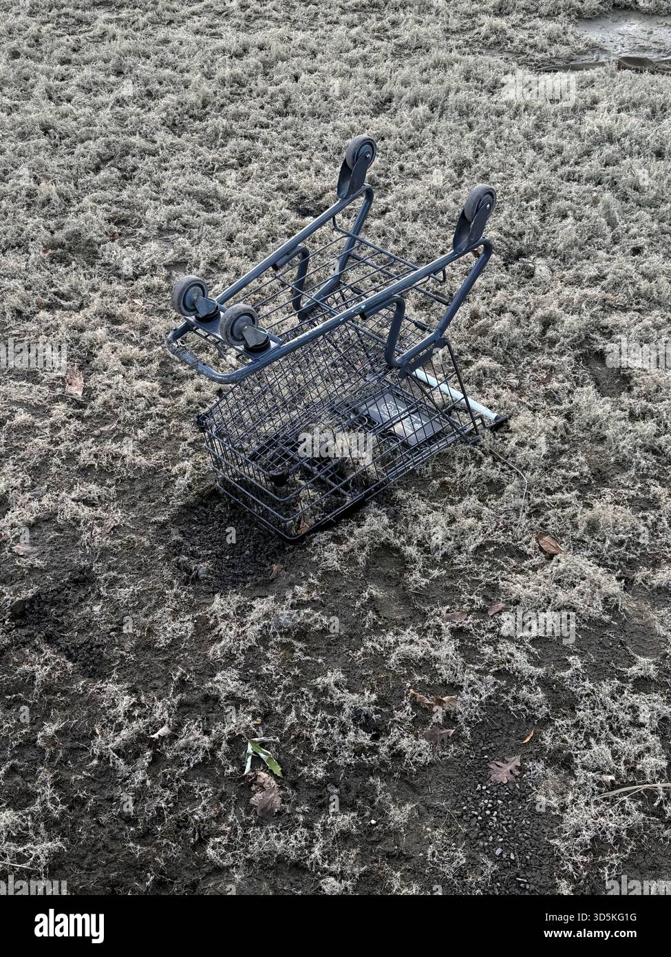 Chariot de supermarché abandonné - Image de stock capturée avec un smartphone