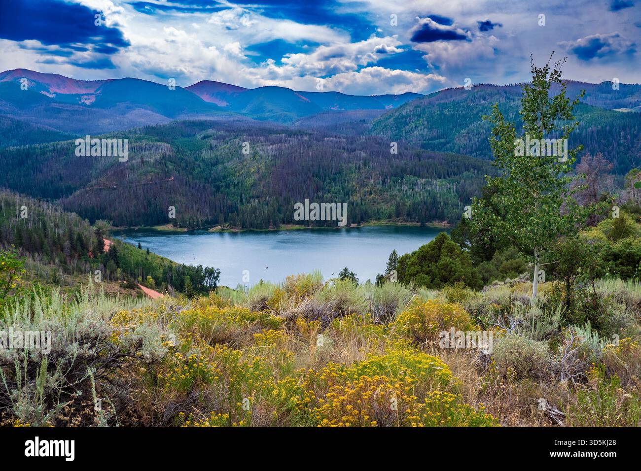 Vue sur le lac depuis Sneve Trail, Sylvan Lake State Park, Eagle, Colorado. Banque D'Images