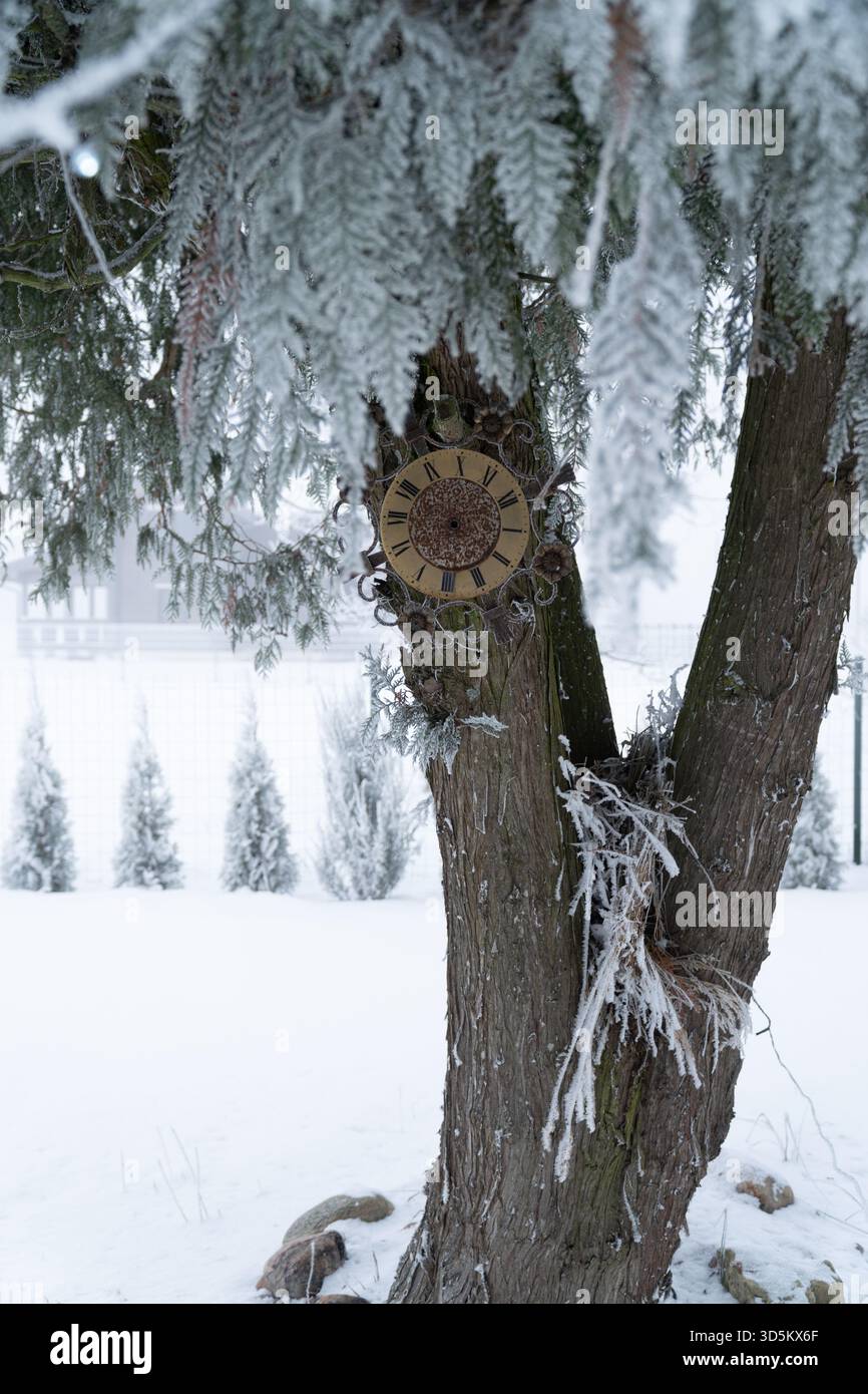 Un vieux cadran d'horloge fixé à un tronc d'arbre dans un jardin enneigé au feuillage givré. Symbolise le temps, l'éternité, l'attente hivernale et le cyc persistant de la nature Banque D'Images