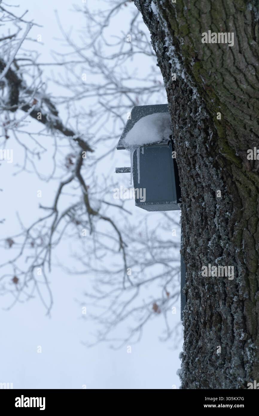 Un petit nichoir couvert de givre et de glaçons sur un tronc d'arbre profondément texturé en hiver. Symbolise la résilience, l'abri, la résistance au froid et la nature Banque D'Images