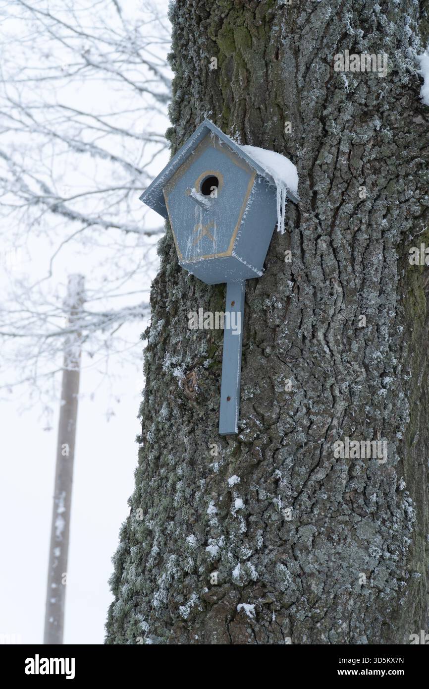 Un petit nichoir couvert de givre et de glaçons sur un tronc d'arbre profondément texturé en hiver. Symbolise la résilience, l'abri, la résistance au froid et la nature Banque D'Images