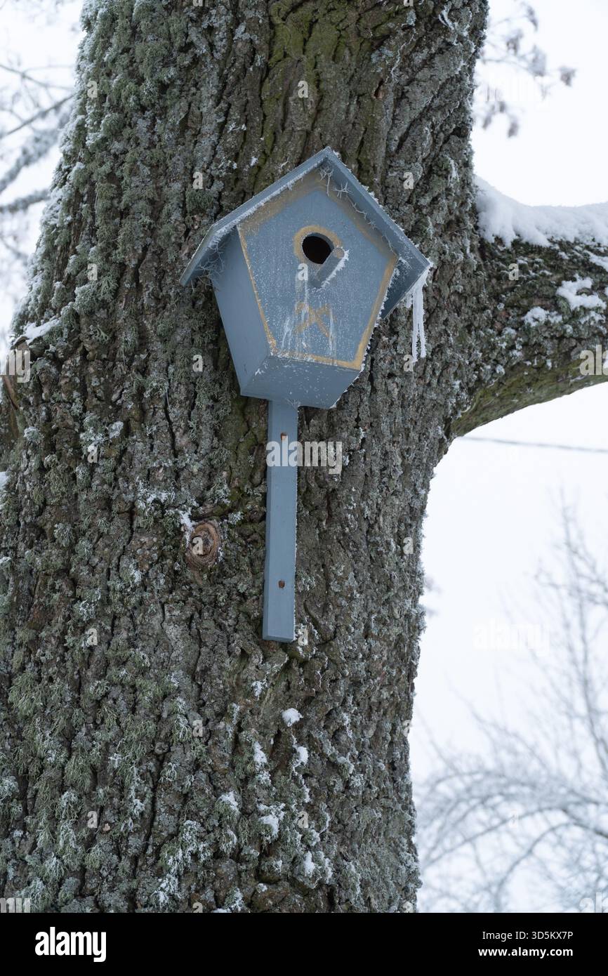 Un petit nichoir couvert de givre et de glaçons sur un tronc d'arbre profondément texturé en hiver. Symbolise la résilience, l'abri, la résistance au froid et la nature Banque D'Images