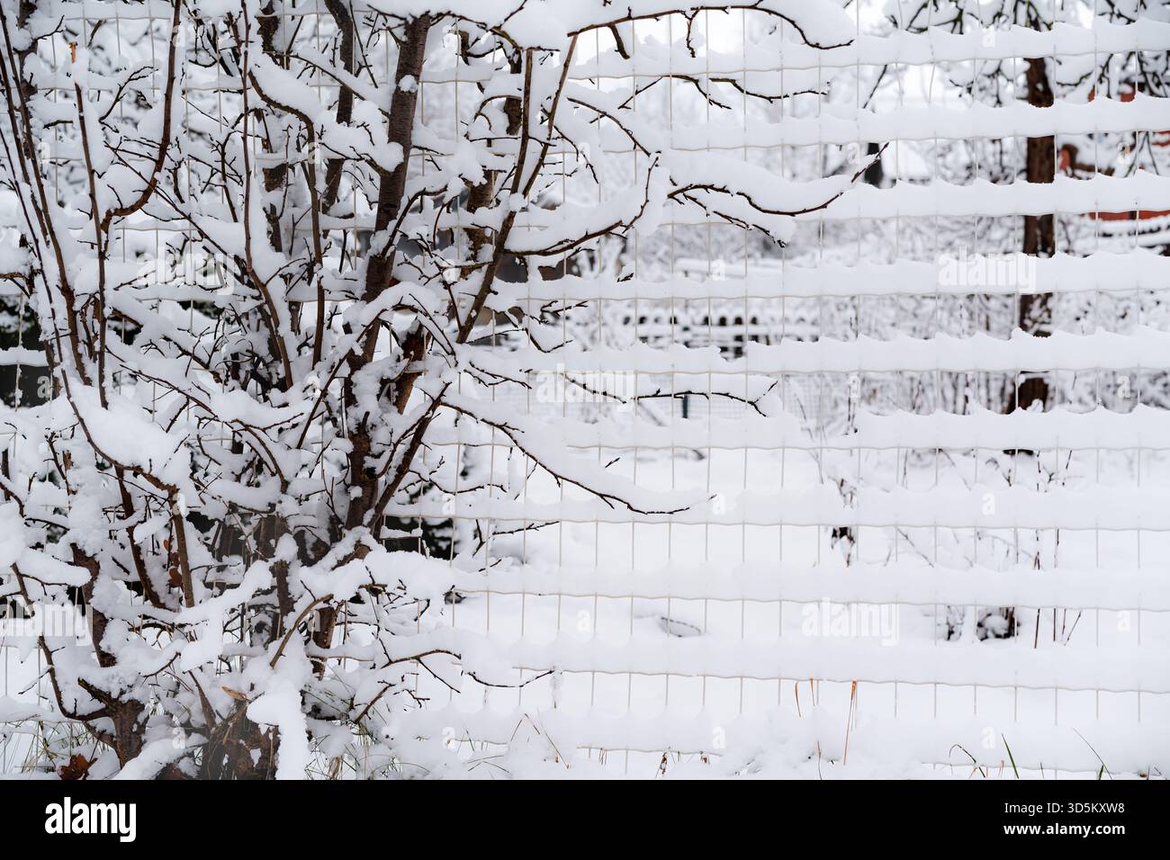 Une clôture à maillons de chaîne couverte de neige photographiée de l'avant, de la neige collée et gelée dans les détails de la clôture, une cour photographiée à travers la clôture Banque D'Images