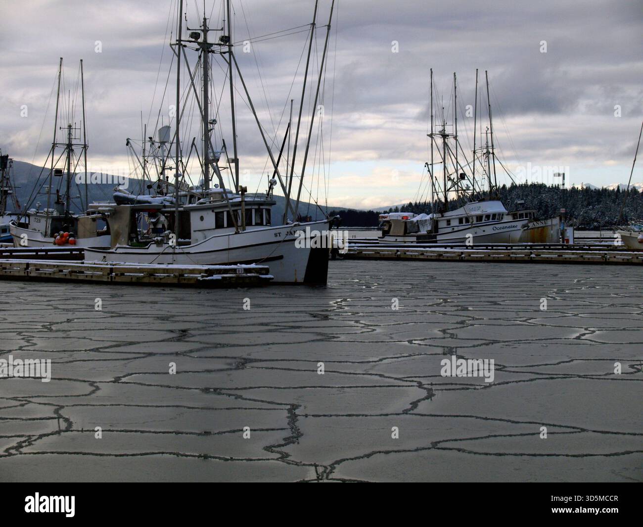 Statter Harbor, Auke Bay, Juneau, Alaska. Banque D'Images