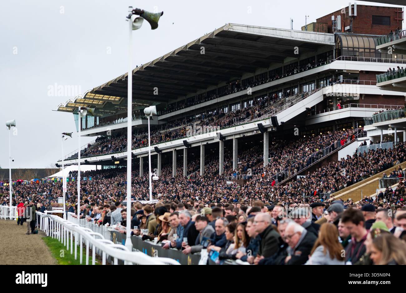 Les coureurs attendent la première course de la journée à l'hippodrome de Cheltenham, le 15/11/25. Crédit JTW Equine images / Alamy. Banque D'Images