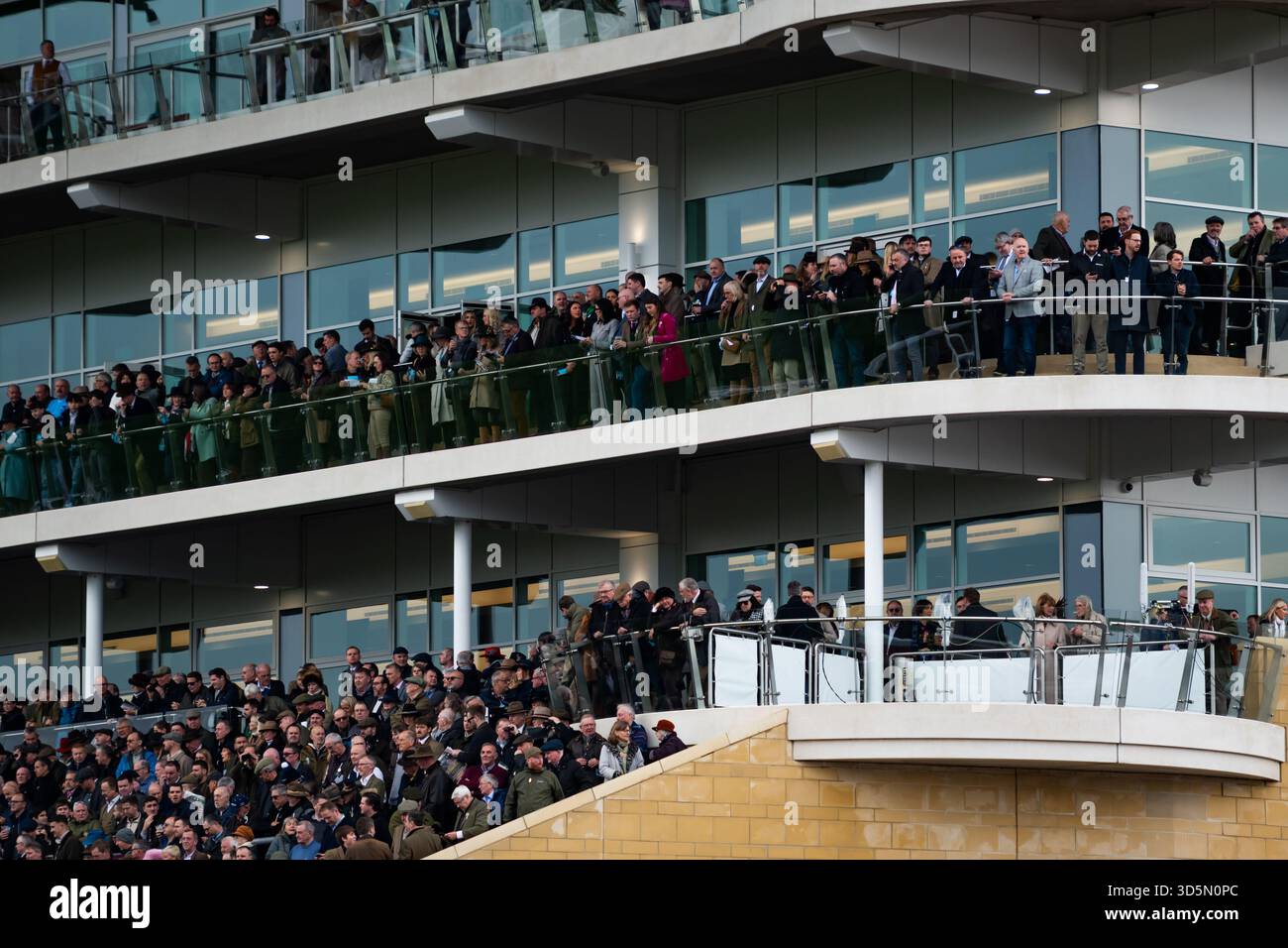 Les coureurs attendent la première course de la journée à l'hippodrome de Cheltenham, le 15/11/25. Crédit JTW Equine images / Alamy. Banque D'Images