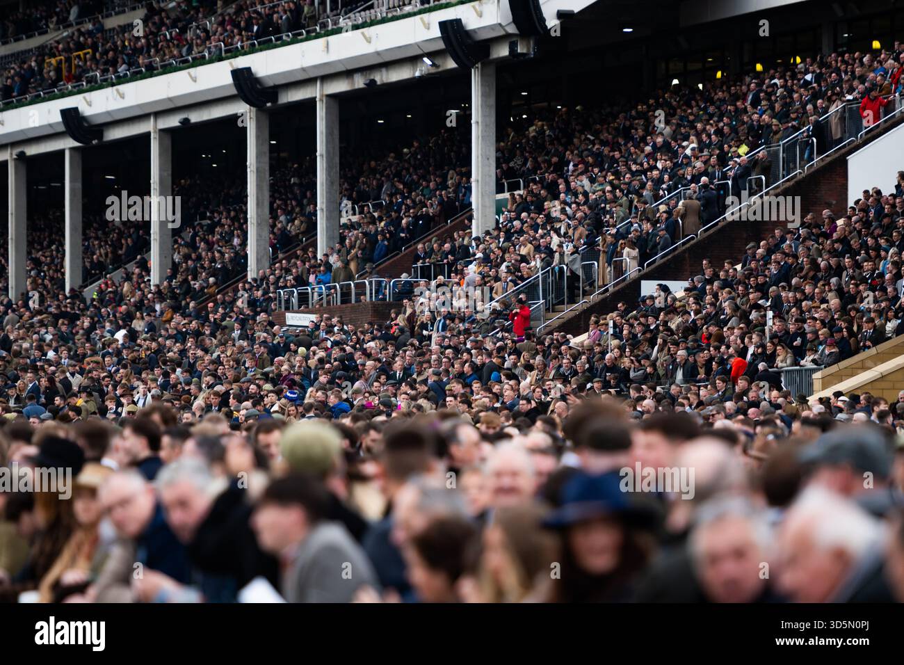Les coureurs attendent la première course de la journée à l'hippodrome de Cheltenham, le 15/11/25. Crédit JTW Equine images / Alamy. Banque D'Images