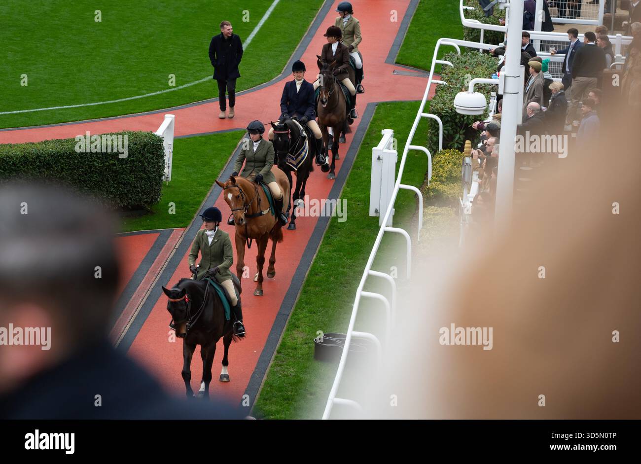 Défilé de chevaux dans le ring de parade dans le défilé de recyclage des chevaux de course à l'hippodrome de Cheltenham, 15/11/25. Crédit JTW Equine images / Alamy. Banque D'Images