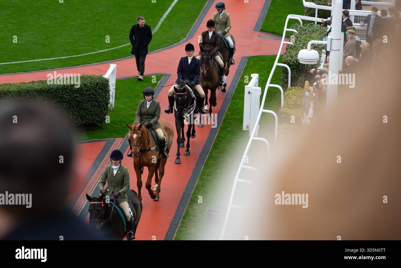 Défilé de chevaux dans le ring de parade dans le défilé de recyclage des chevaux de course à l'hippodrome de Cheltenham, 15/11/25. Crédit JTW Equine images / Alamy. Banque D'Images