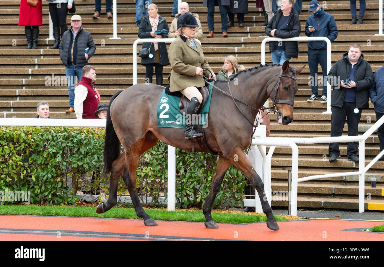 Coneygree et la cavalière Sarah Bradstock participent à la parade de recyclage des chevaux de course, Cheltenham, 15/11/25. Crédit JTW Equine images / Alamy. Banque D'Images