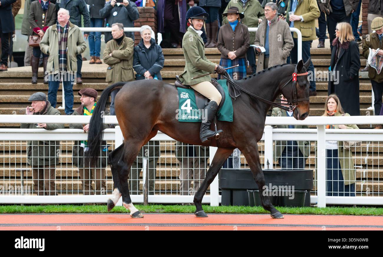 Frodon et la cavalière Philippa Hyde participent à la parade de recyclage des chevaux de course, Cheltenham, 15/11/25. Crédit JTW Equine images / Alamy. Banque D'Images