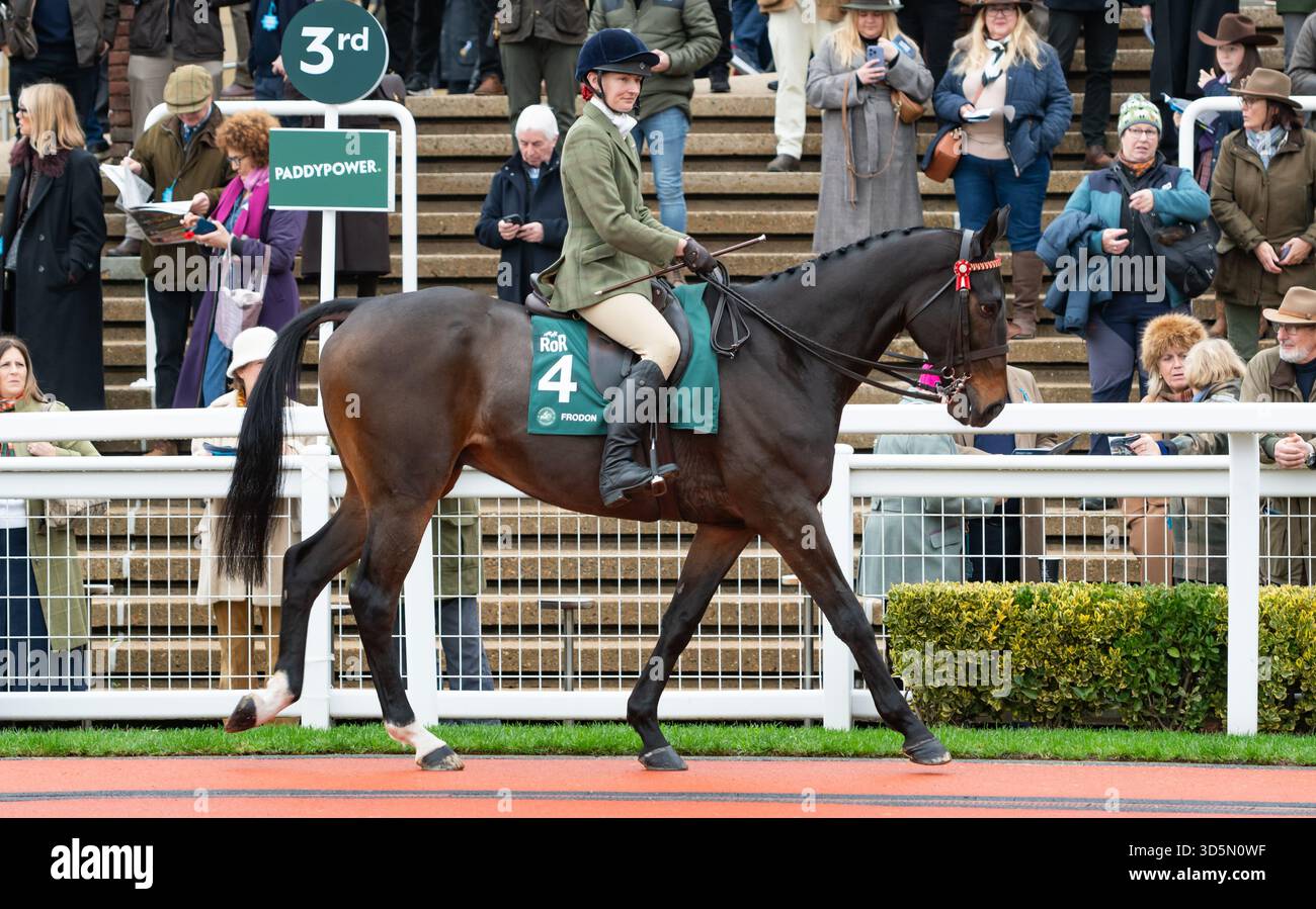 Frodon et la cavalière Philippa Hyde participent à la parade de recyclage des chevaux de course, Cheltenham, 15/11/25. Crédit JTW Equine images / Alamy. Banque D'Images