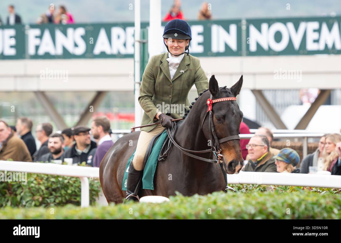 Frodon et la cavalière Philippa Hyde participent à la parade de recyclage des chevaux de course, Cheltenham, 15/11/25. Crédit JTW Equine images / Alamy. Banque D'Images