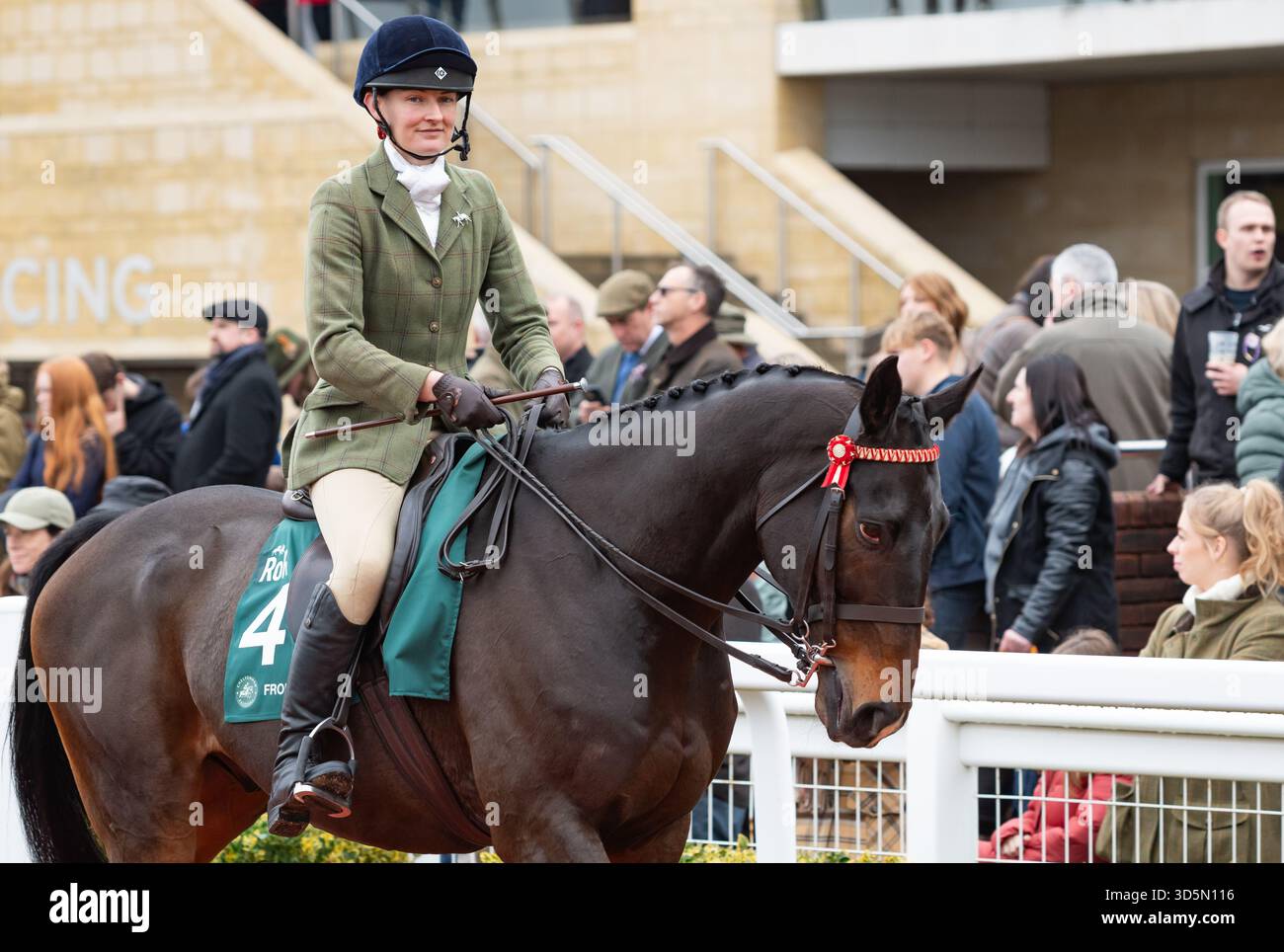 Frodon et la cavalière Philippa Hyde participent à la parade de recyclage des chevaux de course, Cheltenham, 15/11/25. Crédit JTW Equine images / Alamy. Banque D'Images