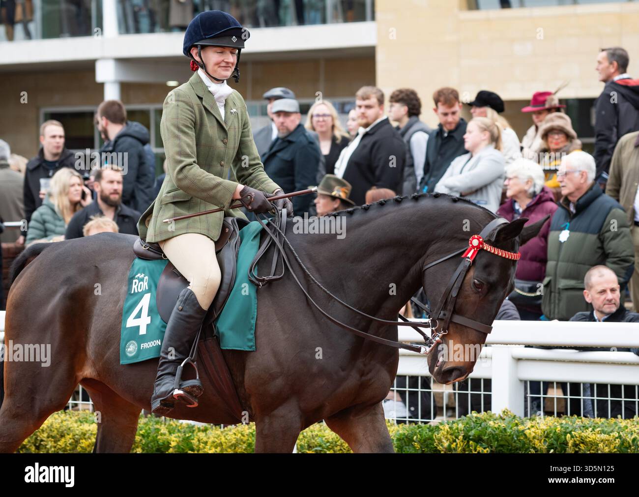 Frodon et la cavalière Philippa Hyde participent à la parade de recyclage des chevaux de course, Cheltenham, 15/11/25. Crédit JTW Equine images / Alamy. Banque D'Images