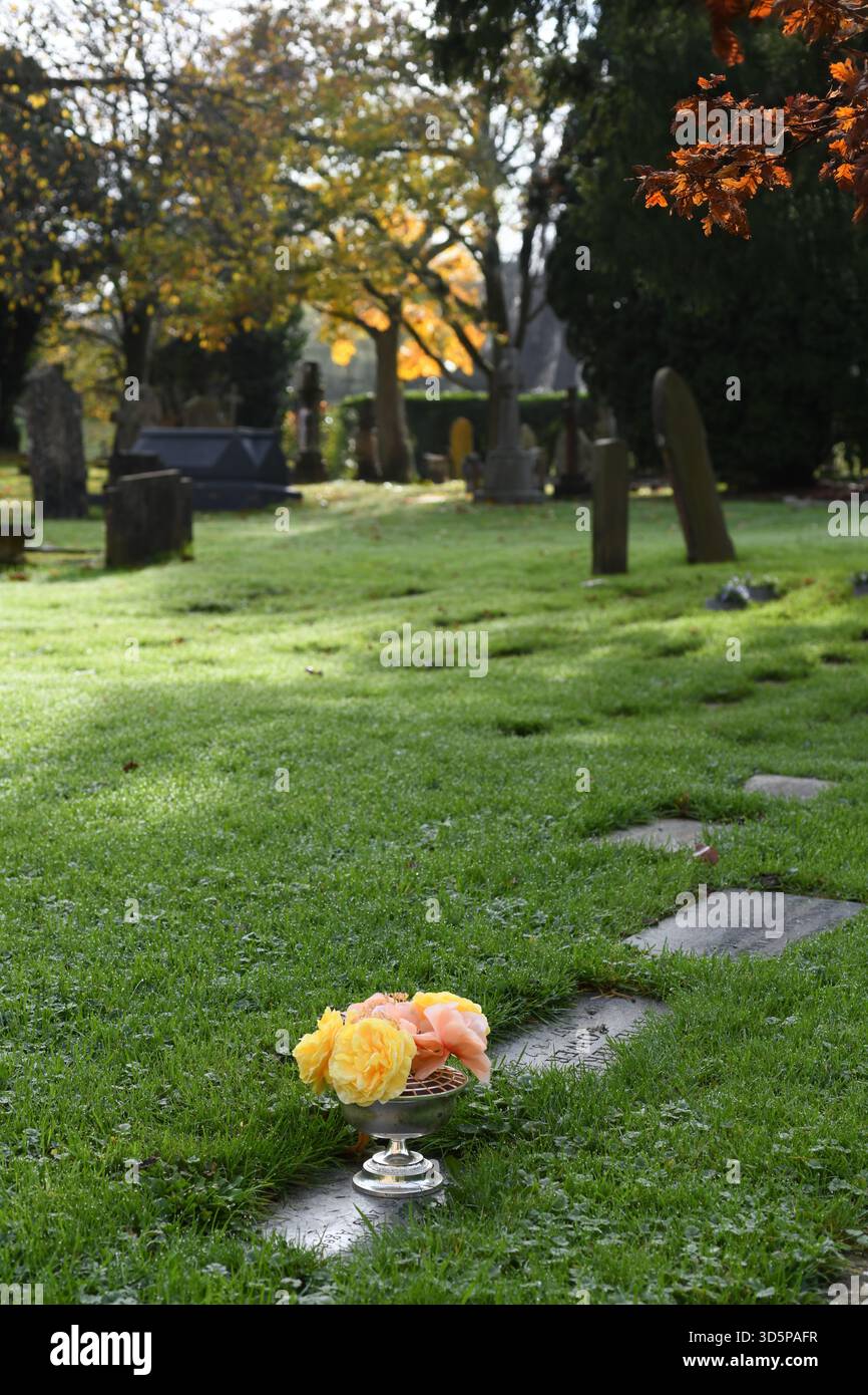 Roses sur une tombe Banque D'Images