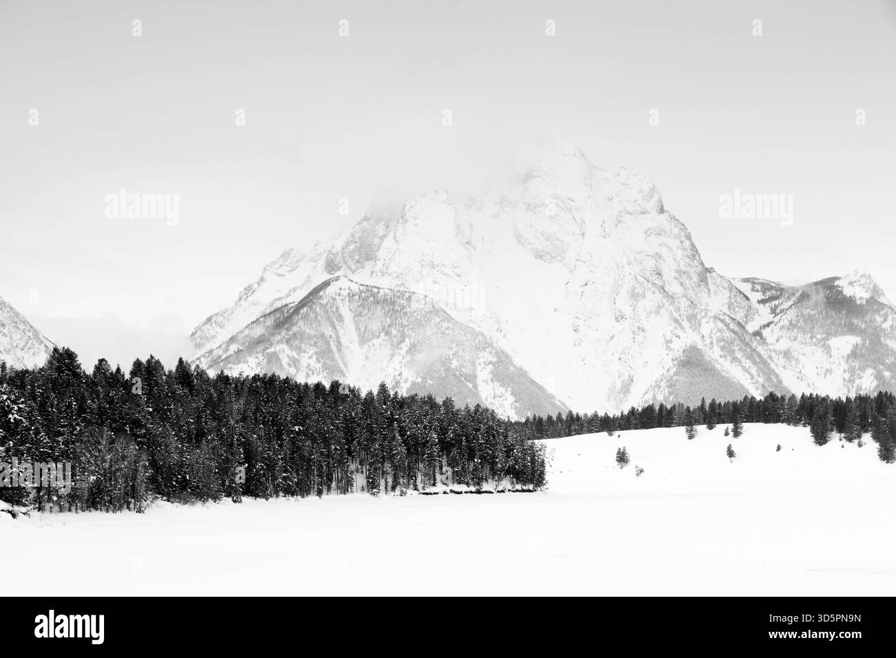 Grand Tetons (Wyoming) Banque D'Images