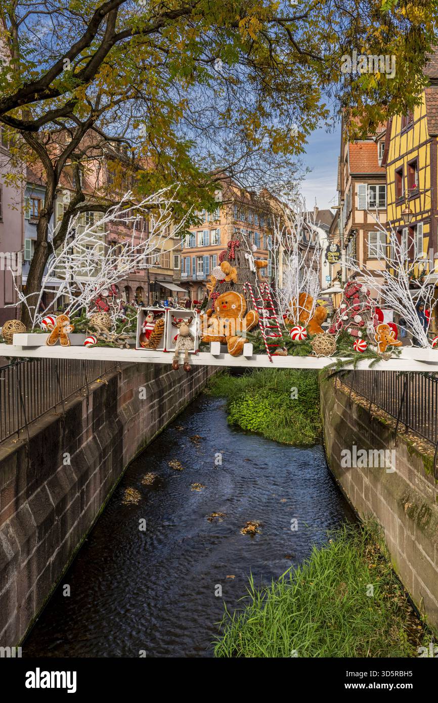 Décorations de Noël dans la vieille ville, Colmar, Haut-Rhin, Grand est, France Banque D'Images