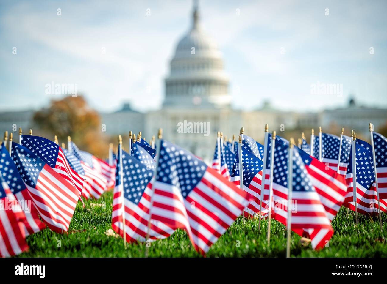 US Capitol Building sur National Mall Washington DC // WASHINGTON DC — de nombreux drapeaux américains sont affichés sur la pelouse verte avec l'emblématique US Capitol Building en arrière-plan. Ce bâtiment historique sert de siège au Congrès des États-Unis. Il est bien situé à l'extrémité est du National Mall. Le Capitole est un symbole puissant de la démocratie américaine et de la branche législative du gouvernement fédéral. Son dôme distinctif est une caractéristique reconnaissable de l'horizon de Washington DC. Banque D'Images