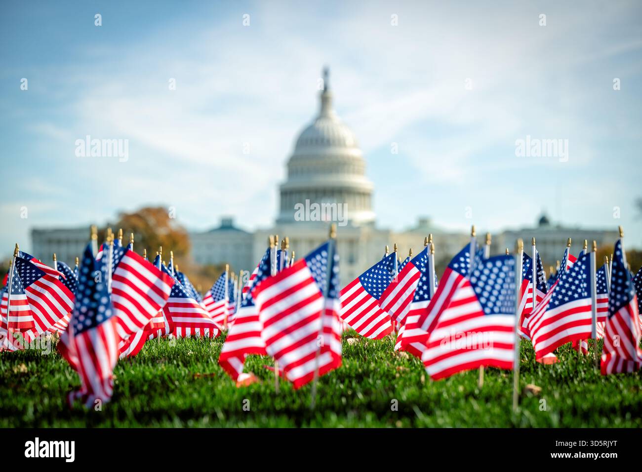 Bâtiment du Capitole des ÉTATS-UNIS avec drapeaux américains sur le National Mall Washington DC // WASHINGTON DC — des drapeaux américains sont affichés sur le terrain devant le bâtiment du Capitole des États-Unis, un monument emblématique sur le Capitole Hill. Ce bâtiment abrite la branche législative du gouvernement fédéral des États-Unis et est le lieu de rencontre du Sénat et de la Chambre des représentants. Situé à l'extrémité est du National Mall, le Capitole Building est un symbole de la démocratie américaine. Son architecture néoclassique, avec son dôme distinctif, est mondialement reconnue. Banque D'Images
